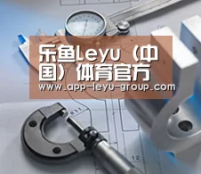 研发能力标题一