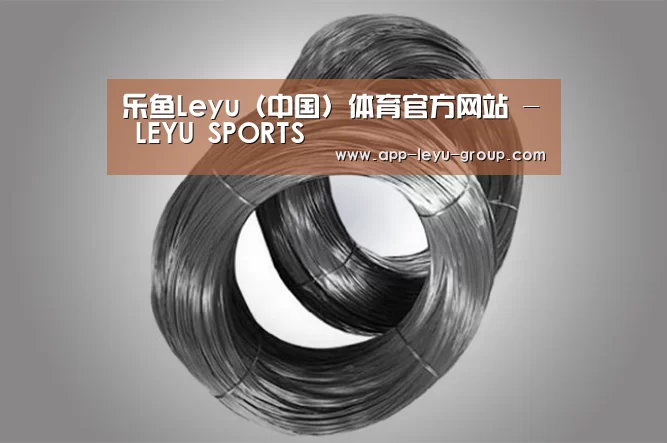 产品展示标题一