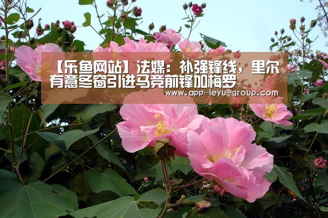 【乐鱼网站】法媒：补强锋线，里尔有意冬窗引进马竞前锋加梅罗