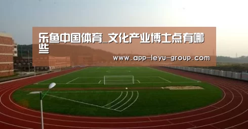 乐鱼中国体育_文化产业博士点有哪些(图2) 乐鱼LEYU