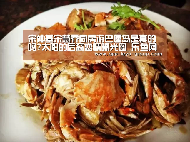 宋仲基宋慧乔同房游巴厘岛是真的吗?太阳的后裔恋情曝光图_乐鱼网站(图3) 乐鱼中国体育