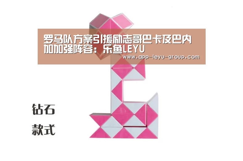 罗马队方案引援励志哥巴卡及巴内加加强阵容:乐鱼LEYU(图2) 乐鱼体育